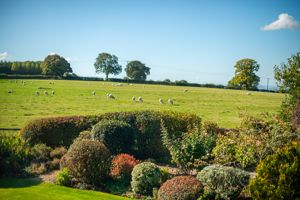 Photo 37- click for photo gallery